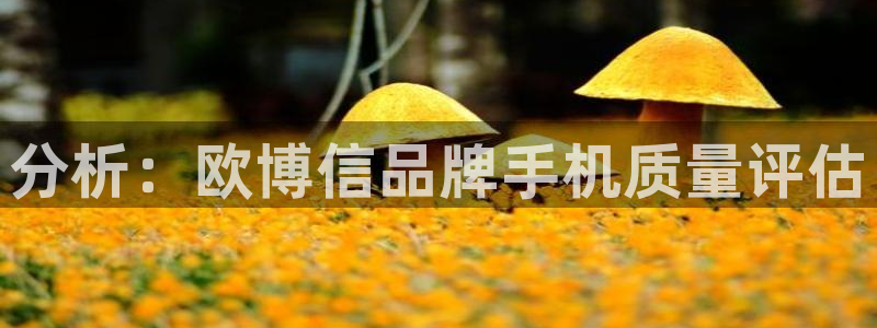 新航娱乐3官网：分析：欧博信品牌手机质量评估