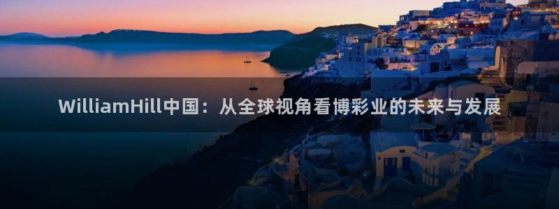 新航娱乐集团：WilliamHill中国：从全球视角看博彩业的未来与发展