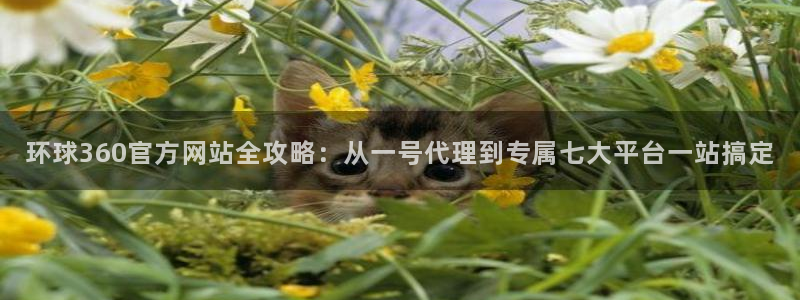 新航娱乐体育平台开号链接：环球360官方网站全攻略：从一号代理到专属七大平台一站