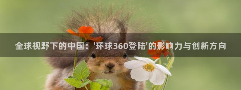 新航娱乐2体育登录入口：全球视野下的中国：\'环球360登陆\'的影响力与创新方