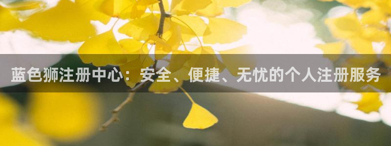 新航娱乐2体育登录入口：蓝色狮注册中心：安全、便捷、无忧的个人注册服务