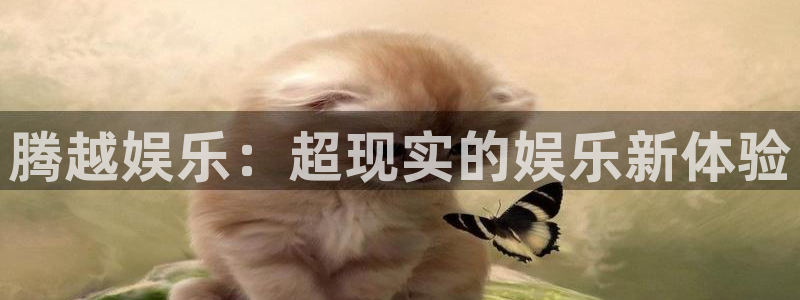 新航娱乐体育app下载：腾越娱乐：超现实的娱乐新体验