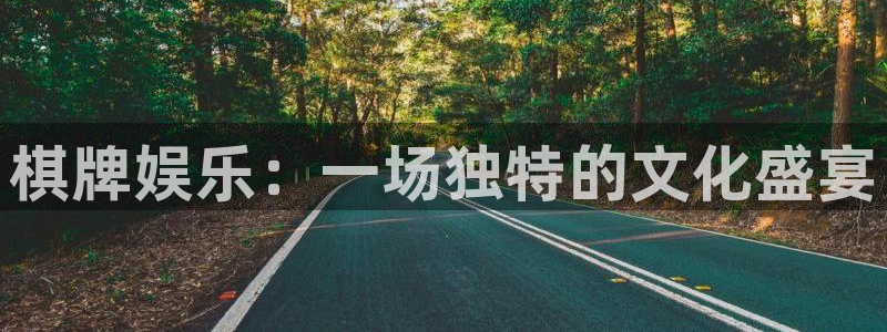 新航娱乐平台在线开户：棋牌娱乐：一场独特的文化盛宴