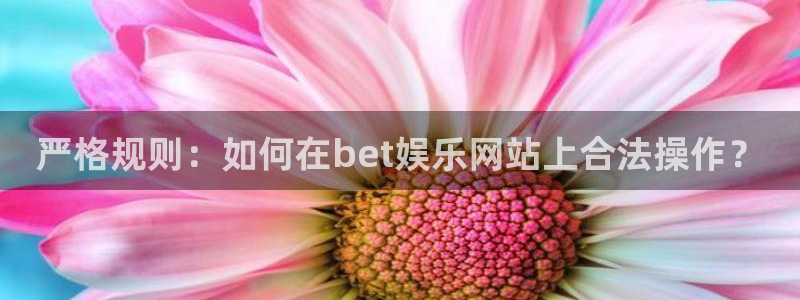 www.新航娱乐体育.com：严格规则：如何在bet娱乐网站上合法操作？