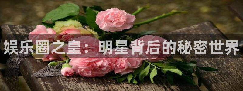 新航娱乐2登录：娱乐圈之皇：明星背后的秘密世界