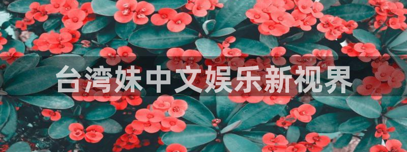 新航娱乐平台注册入口：台湾妹中文娱乐新视界