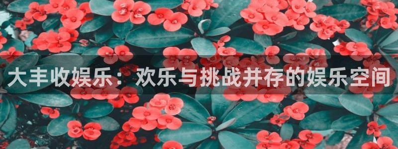 新航娱乐平台官网：大丰收娱乐：欢乐与挑战并存的娱乐空间