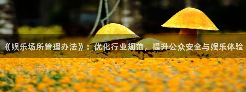 新航娱乐体育