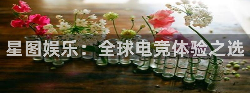 新航娱乐3代理：星图娱乐：全球电竞体验之选