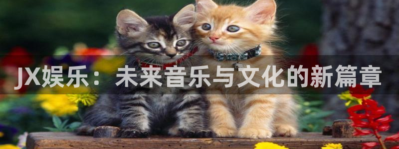 新航娱乐体育官网登录：JX娱乐：未来音乐与文化的新篇章