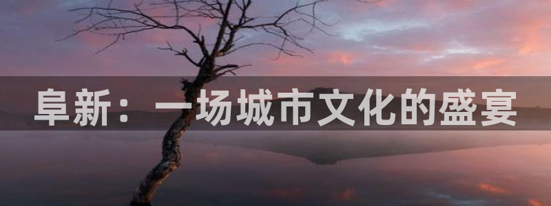 新航娱乐体育凯捷平台代理：阜新：一场城市文化的盛宴