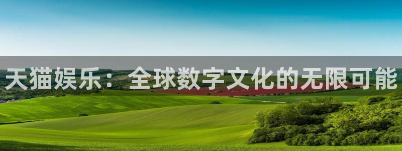 新航娱乐集团股票：天猫娱乐：全球数字文化的无限可能