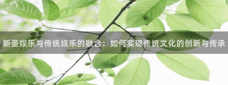 新航娱乐招商：新圣娱乐与传统娱乐的融合：如何实现传统文化的创新与传承