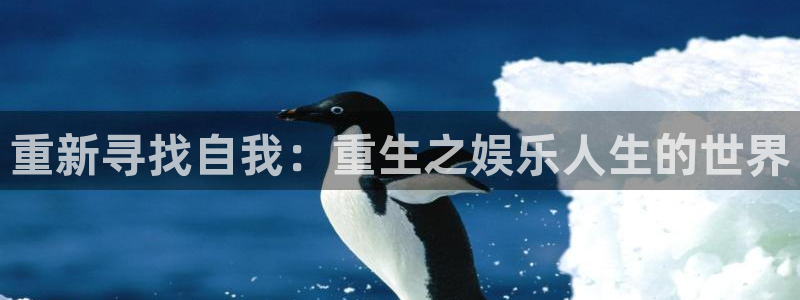 新航娱乐2登录地址：重新寻找自我：重生之娱乐人生的世界