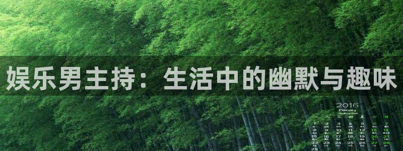 新航娱乐代理：娱乐男主持：生活中的幽默与趣味
