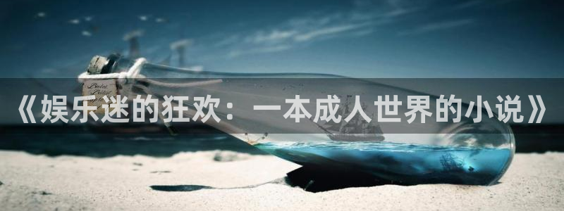 新航娱乐2登录：《娱乐迷的狂欢：一本成人世界的小说》