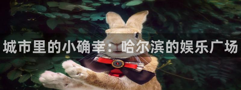 新航娱乐平台开户链接：城市里的小确幸：哈尔滨的娱乐广场