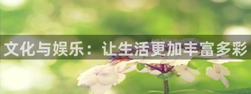 新航娱乐凯捷平台：文化与娱乐：让生活更加丰富多彩