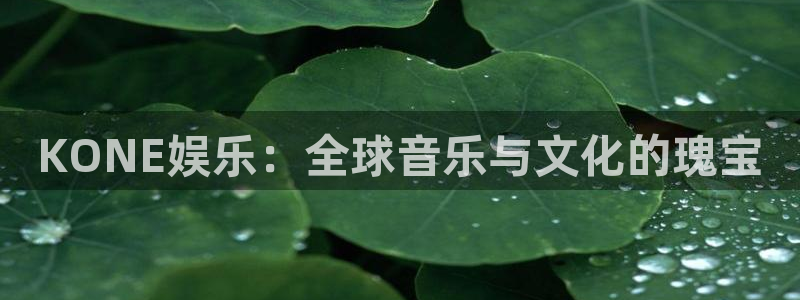 新航娱乐平台在线开户：KONE娱乐：全球音乐与文化的瑰宝