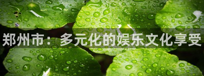 新航娱乐体育凯捷登陆：郑州市：多元化的娱乐文化享受