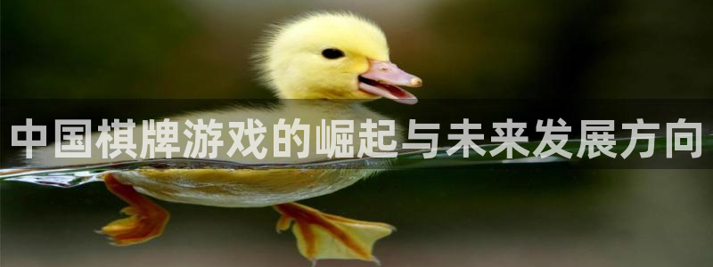 新航娱乐主管：中国棋牌游戏的崛起与未来发展方向